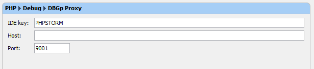 PHPStorm Debug Settings - DBGp Proxy